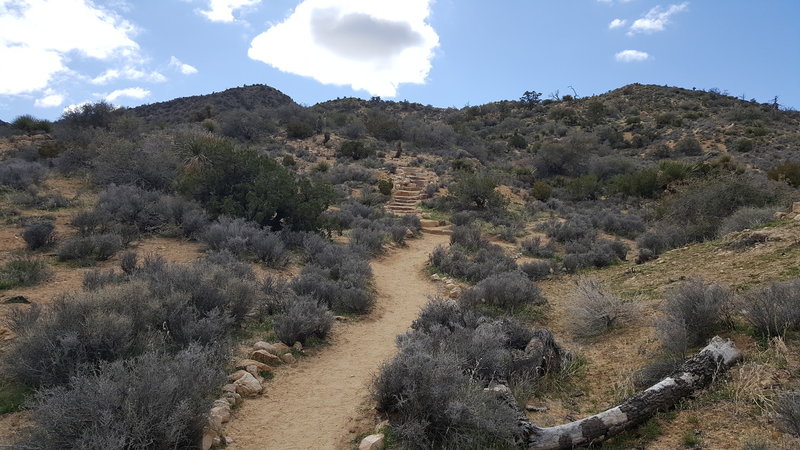 Traveling clockwise on the trail, the first set of steps is manageable.