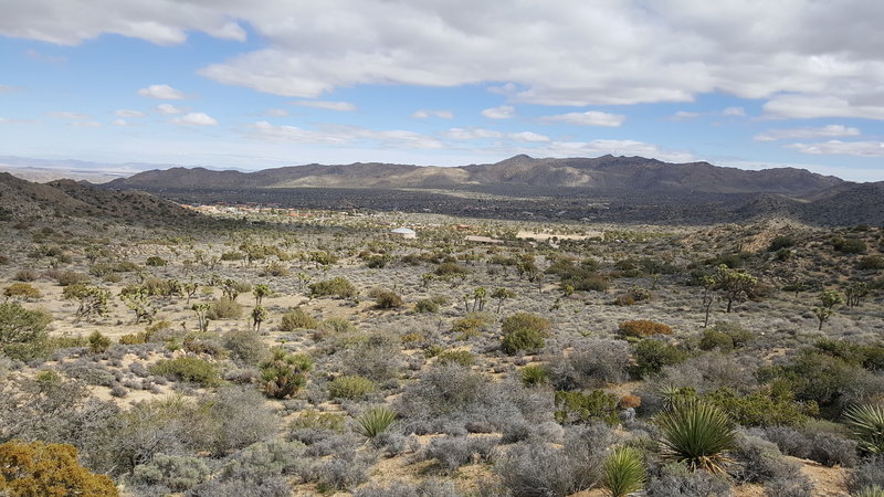 Part way up the trail, look back toward the campground for a sprawling view of your desert surroundings.