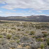 Part way up the trail, look back toward the campground for a sprawling view of your desert surroundings.