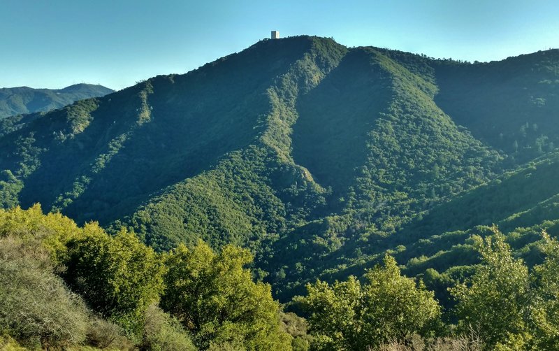 Mt. Umunhum stands prominently in the distance from high on the Woods Trail.