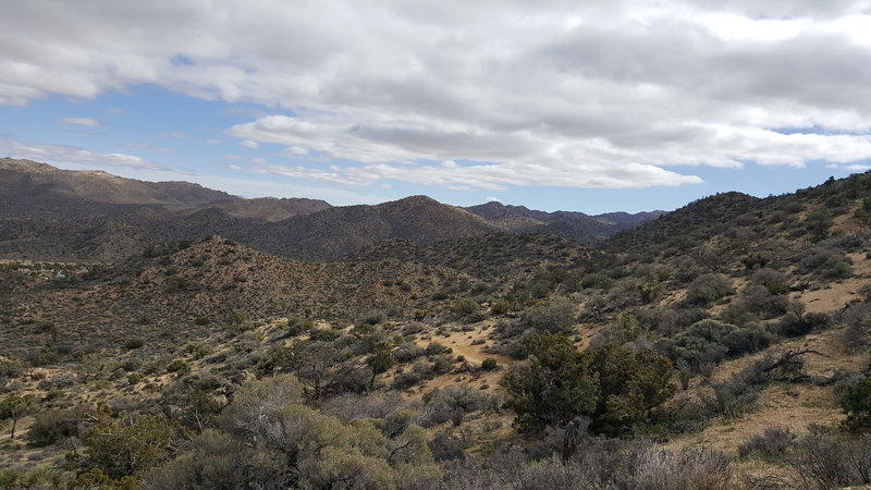 Look east from the trail for picturesque views of Joshua Tree National Park.