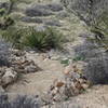 Look out for these rock stairs while heading down from the peak on the High View Nature Trail.