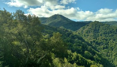 Enjoy the first views of Mt. Umunhum right near the Woods Trail trailhead.