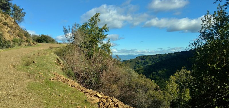 Expect gorgeous views as you climb through rugged terrain on the Woods Trail in the Santa Cruz Mountains.