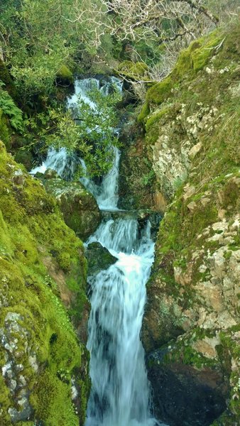 A waterfall cascades down mossy rocks along the Woods Trail after winter rains.