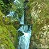 A waterfall cascades down mossy rocks along the Woods Trail after winter rains.