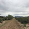 The Channel Trail offers a great view of the distant Superstition Mountains.