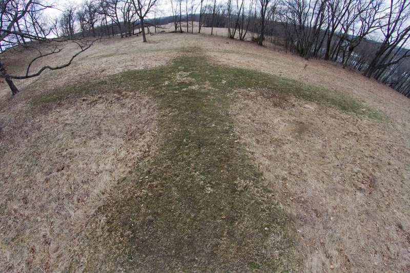 Thunderbird Effigy Mound was constructed by Native Americans 1000 years ago, with over a 200 foot wingspan!