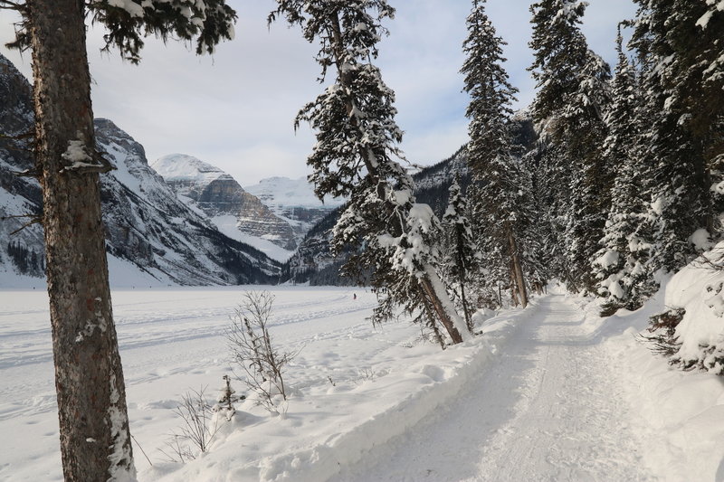 Lake Louise makes for gorgeous trailside scenery in the winter.