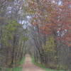 Enjoy the Galena River Trail on a chilly fall day to experience falling leaves, quiet forests, and peaceful solitude.