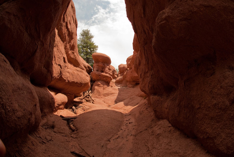 Climb through the red rocks to fully experience just how beautiful they are.