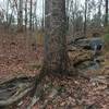 Enjoy this small waterfall and creek in the woods near Venable Lake.