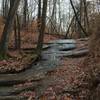 Another lovely little stream trickles down the rocks on the forest floor.