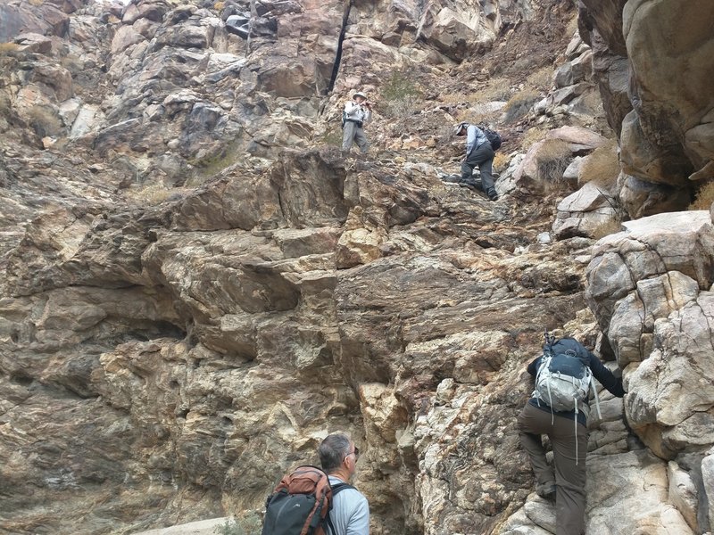 The climb up Davies Canyon is truly a climb!