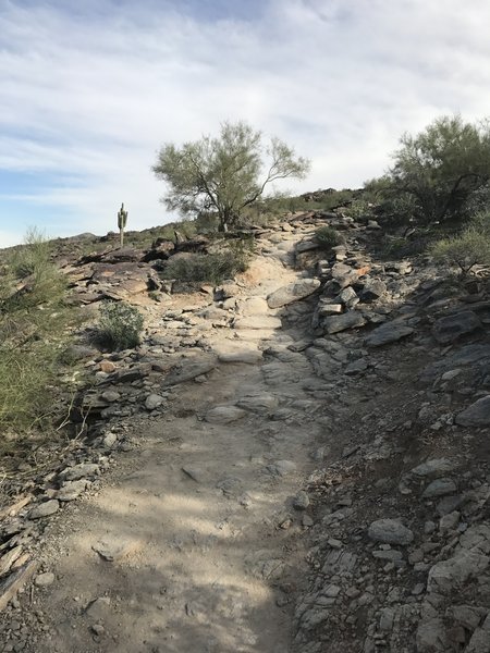 Navigate the occasional rock staircase along the Mormon Trail.