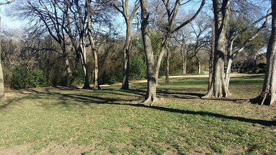 This clearing indicates the start of the trail at its southern end.