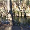 Prairie Creek meanders peacefully alongside the trail.