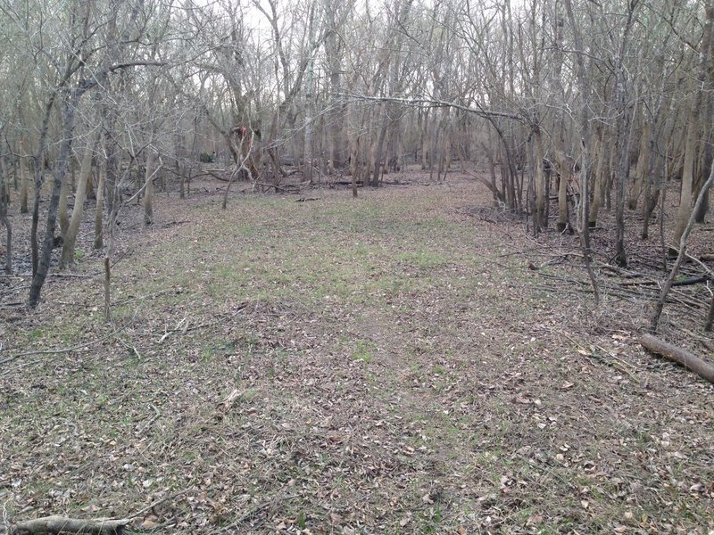 Bauer Trail turns south near Turkey Creek.