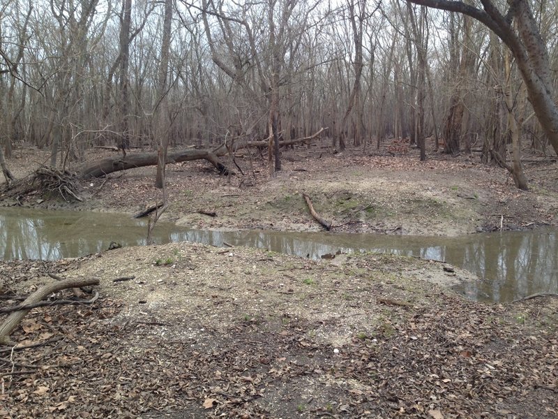 Turkey Creek is located about 200 feet east of the Bauer and Miles Trails.