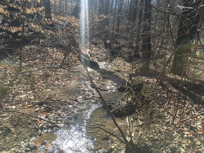 The stream crossing on the Loop Trail is manageable.