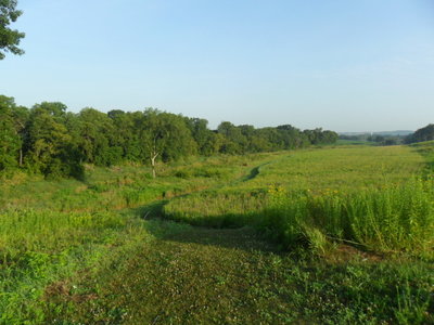 Early morning light graces the summer prairie.