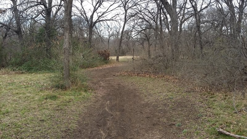 The trails weave in and out of tree cover.