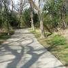 This is a typical pathway in the preserve.