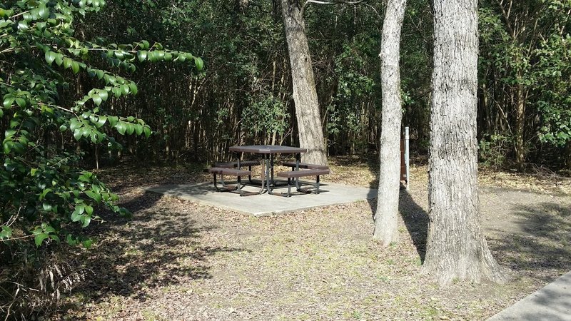 Enjoy many picnic tables placed throughout the preserve.