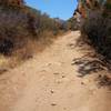 There's little shade in some areas along the trail, so you'll have to navigate its rocky tread in full sun.