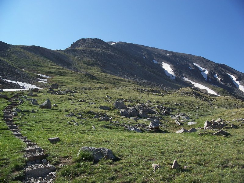 The objective is in sight! La Plata Peak Trail passes through some beautiful alpine meadows that are packed with flowers in the summer.