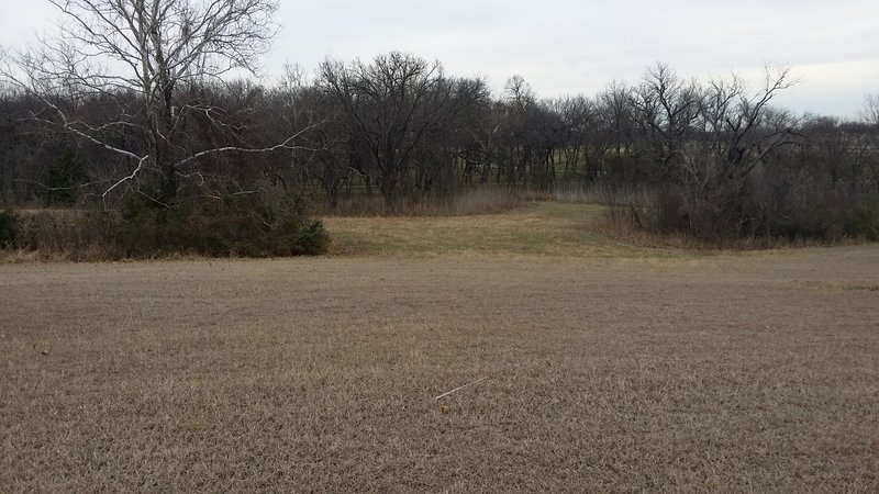 Open meadows allow endless possibilities for wildlife viewing.