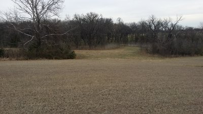 Open meadows allow endless possibilities for wildlife viewing.