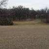 Open meadows allow endless possibilities for wildlife viewing.