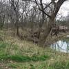 Rowlett Creek winds through Breckinridge Park.