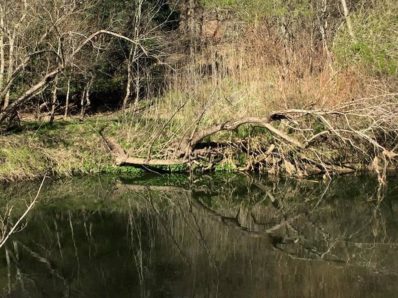 Search out this hidden, local gem for Cibolo Creek fishing.