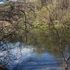 This hidden gem is a phenomenal fishing hole on Cibolo Creek.