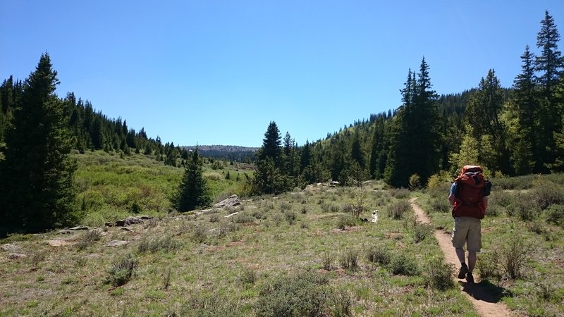 A beautiful day makes our trek along Rich Creek all the better.