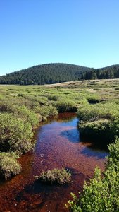 Expect to see iron-saturated water in the area.