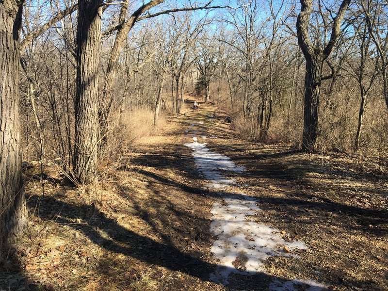 An unusually warm day in mid-February brings sun and smiles to the trail. As you can see, some of the ice from a previous storm is still melting.