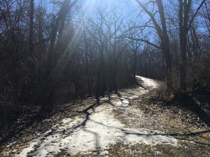 Parts of this trail are quite winding as they make their way through the dense hardwood forests.