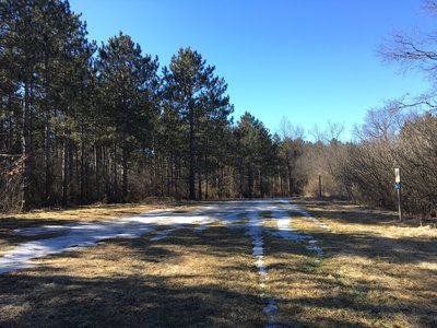 Some sections of trail are wide open with an unobstructed view of the sky.