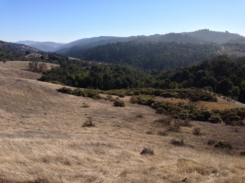 Enjoy a great view down the Stevens Creek Watershed from the Stevens Creek Nature Trail.