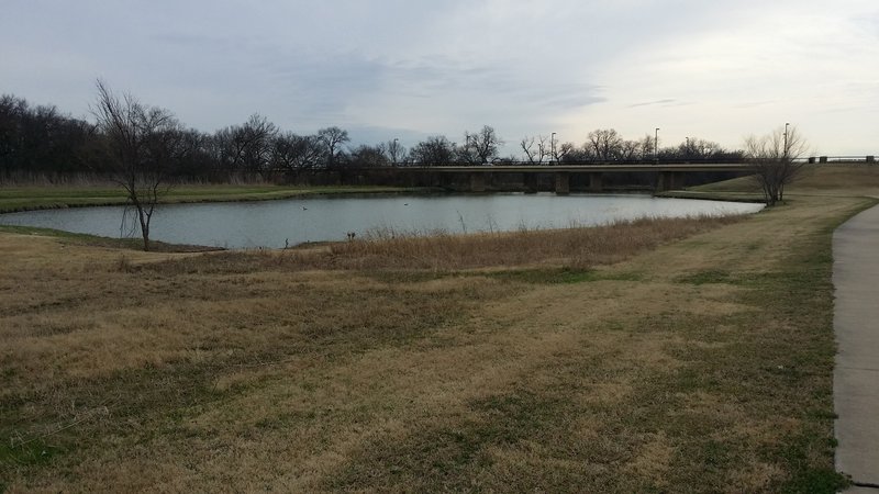 This small lake passes under Renner Road.