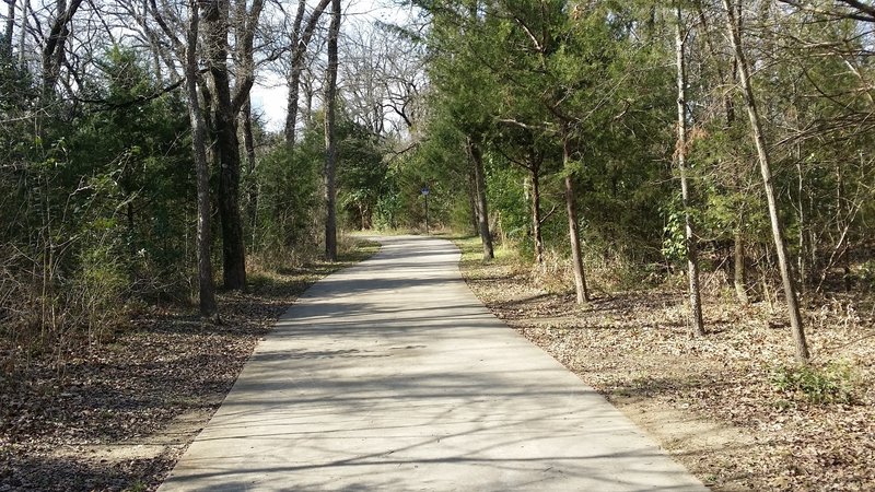 Expect this typical paved path through the forest in Spring Creek Nature Area.