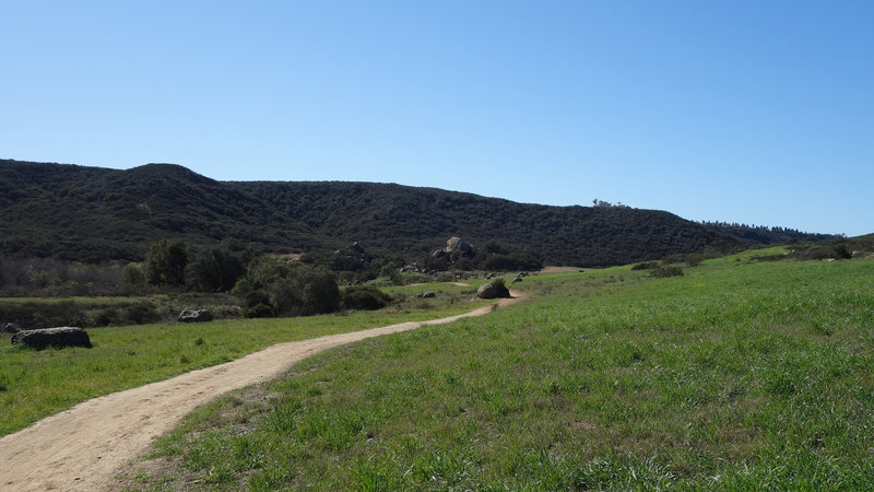 Los Peñasquitos Canyon really shines during the verdant season.