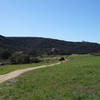 Los Peñasquitos Canyon really shines during the verdant season.