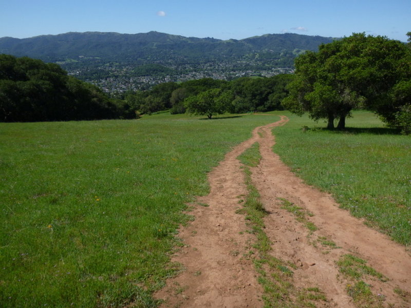 This is a typical Mt. Burdell trail in typical condition. Some fire roads are better than others, but the views of the Novato are worth it.