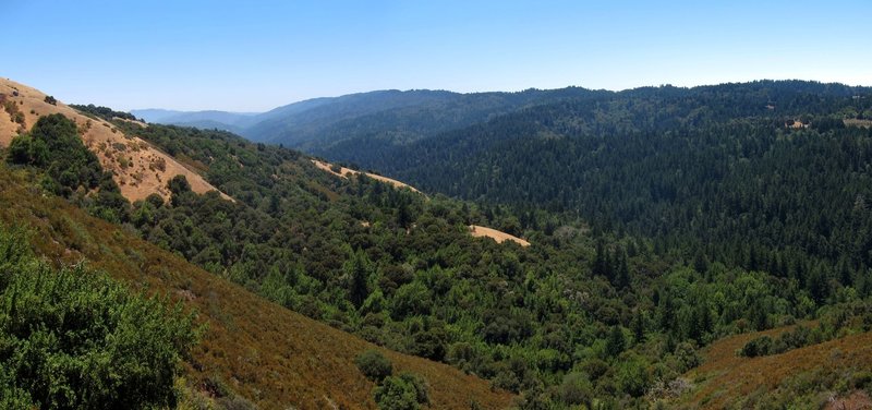 There are excellent views of Stevens Creek Valley from the Indian Creek Trail.