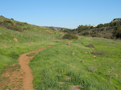 Los Peñasquitos Canyon Trail (east of Black Mountain Road) grows green after good winter rains.