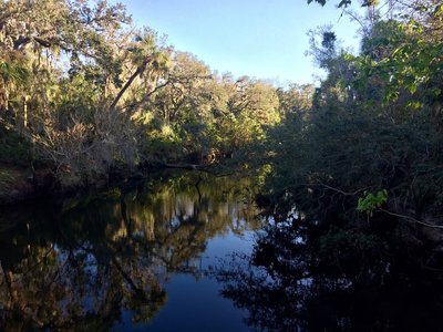 Enjoy a pleasant view of the tannin-rich water from the overlook on the Boardwalk Nature Trail.